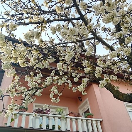 Apartman Nada คาปรินา ภายนอก รูปภาพ
