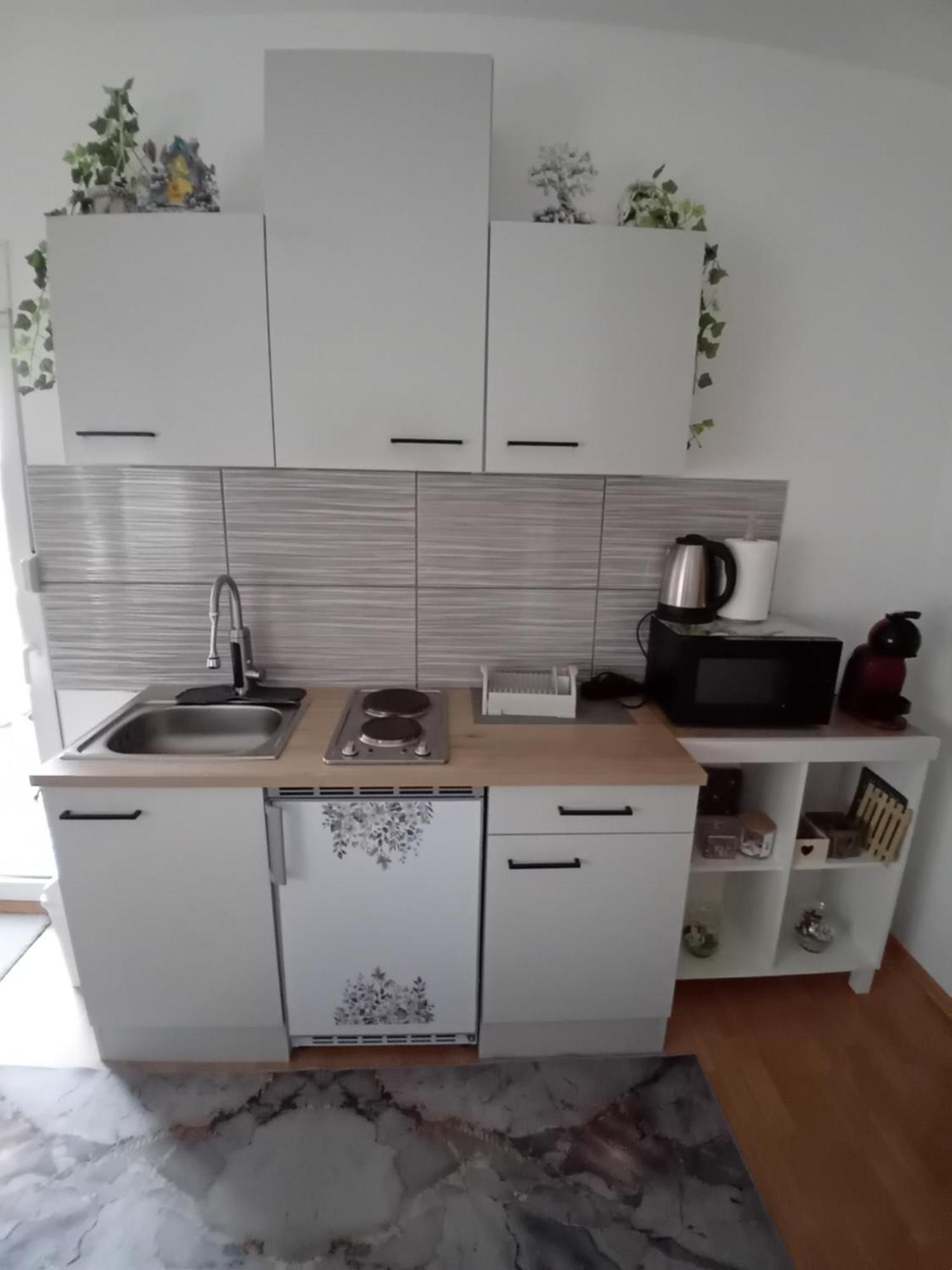 Apartman Nada คาปรินา ภายนอก รูปภาพ